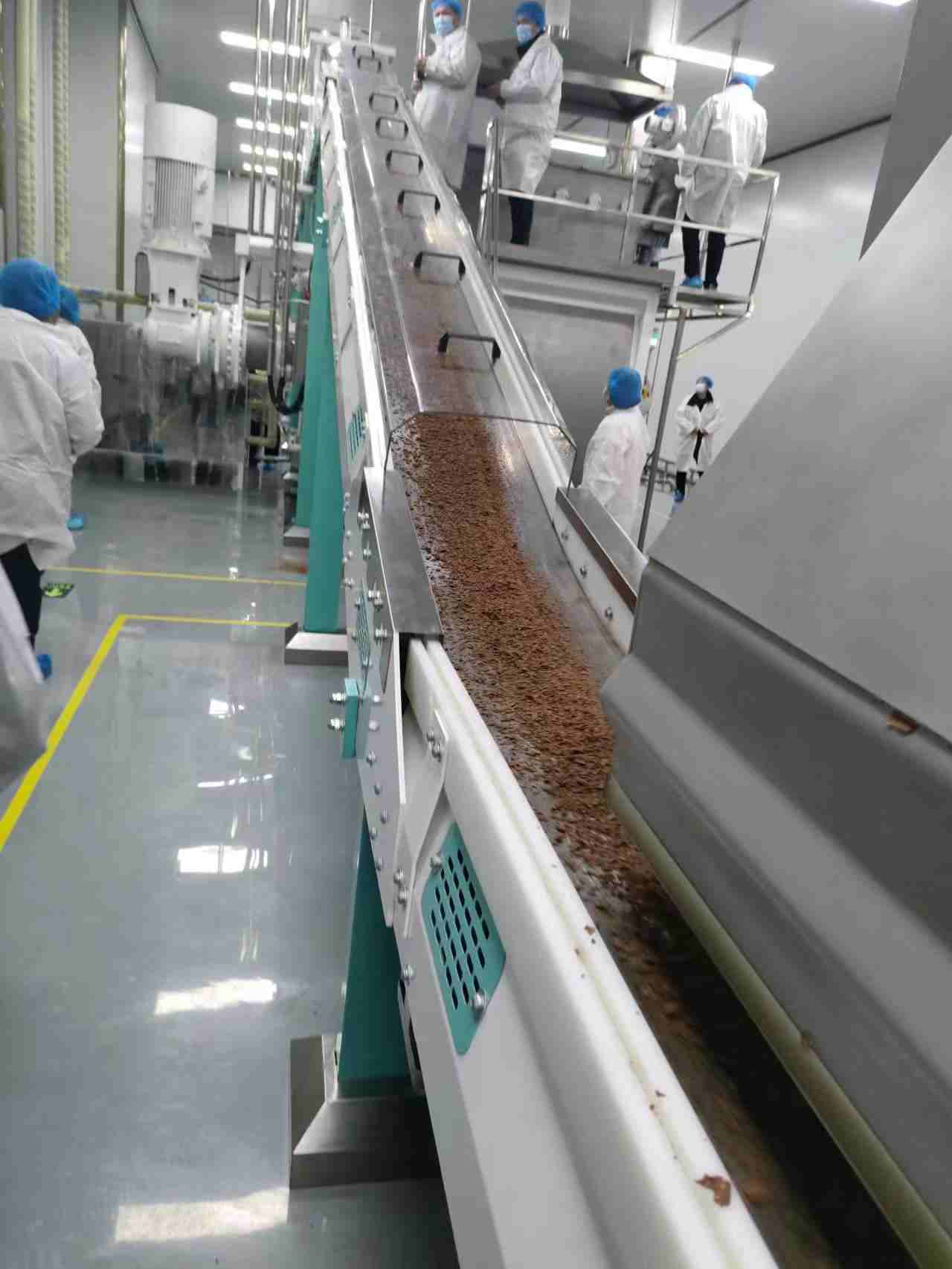 Chocolate Steel Belt Conveyor by BPS/EPS