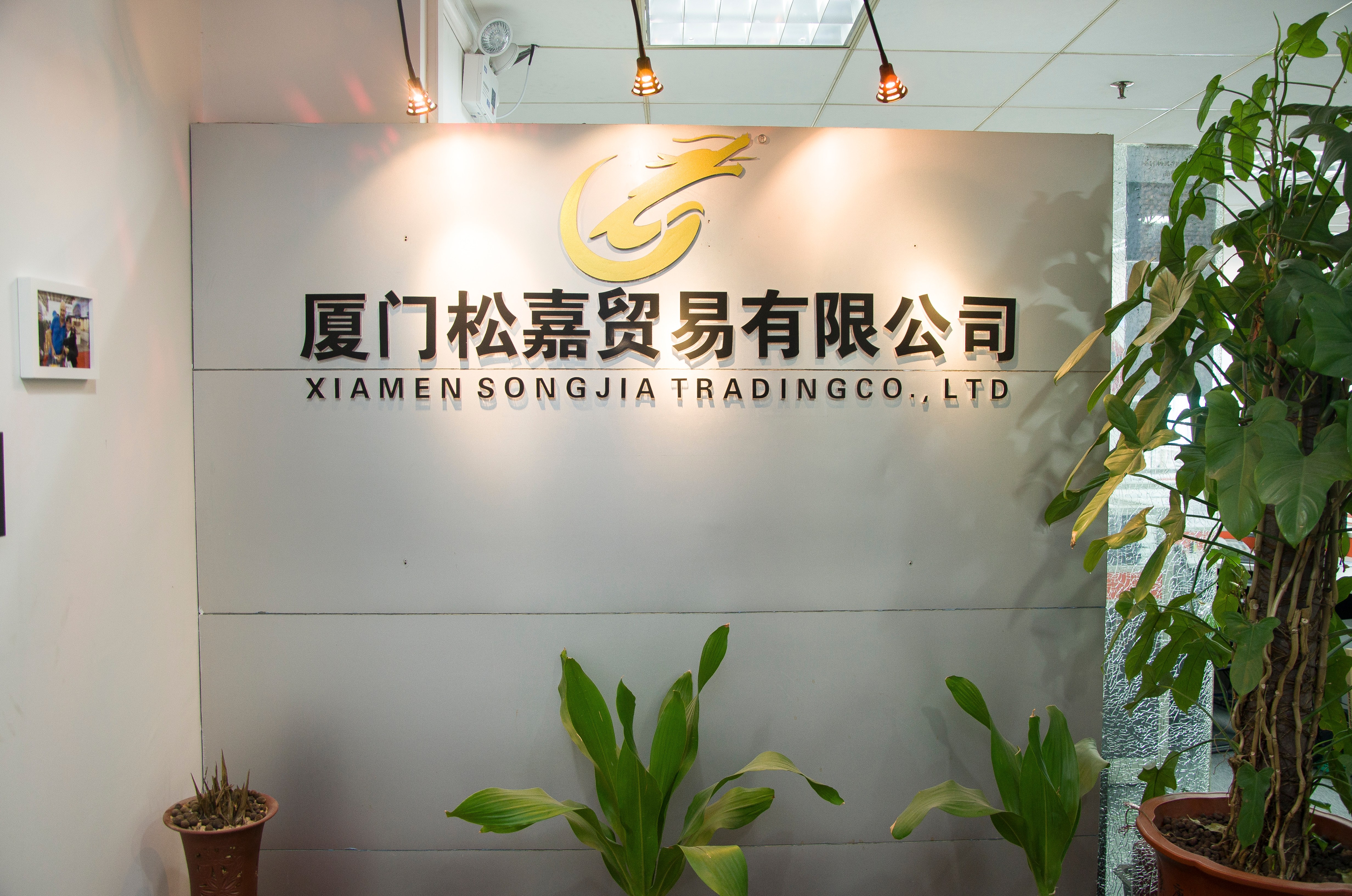 SONGJIA Professional Office