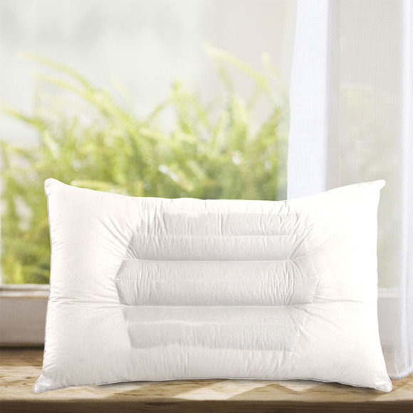 pillow insert 