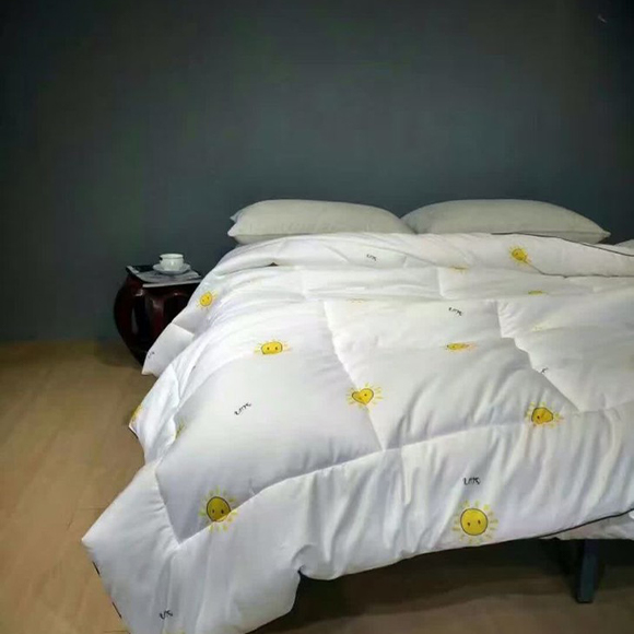 Duvet Insert 