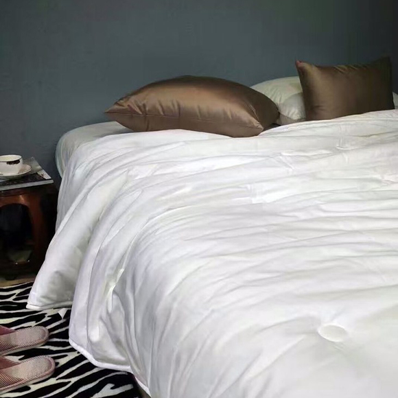 Duvet Insert 