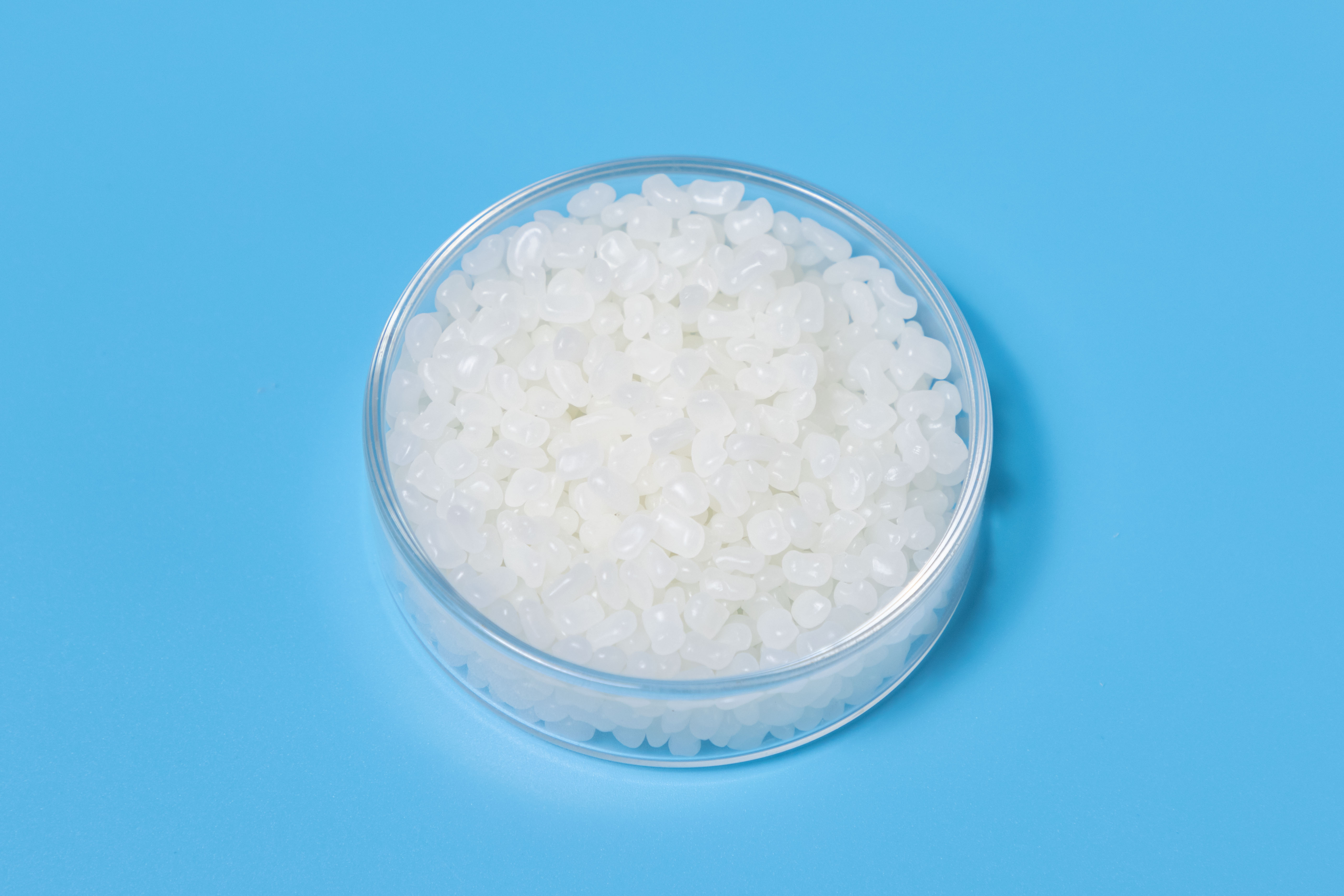 PP Compatibilizer (PP-g-MAH) granules