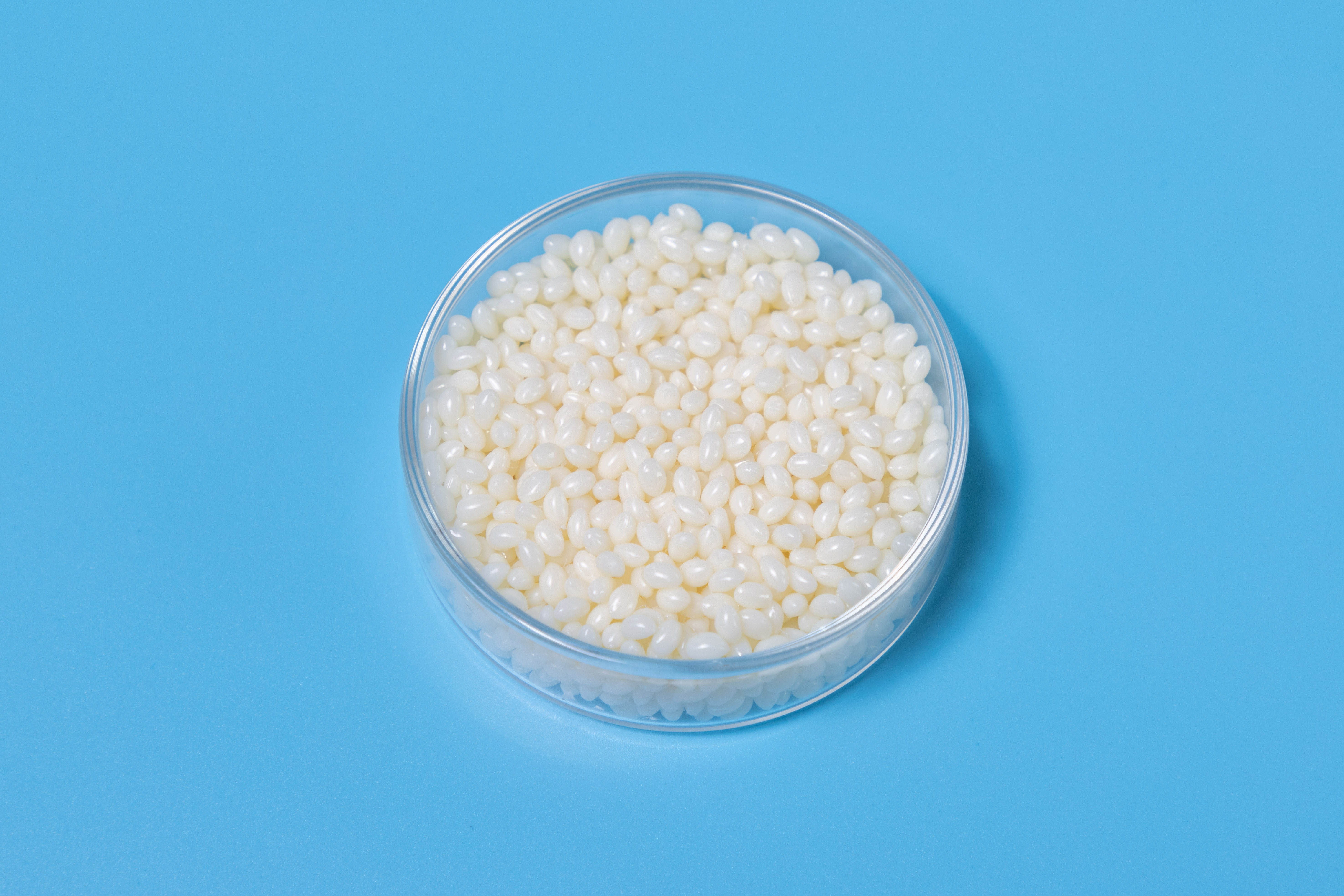 Biodegradable Compatibilizer Product