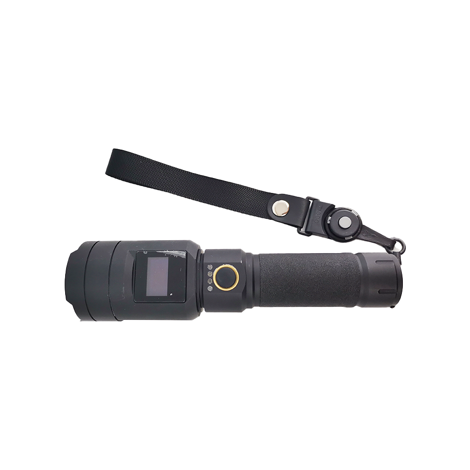 MS600-L Remote Gas Detector for Real-Time Methane Leak Monitoring