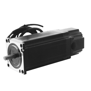 Hybrid Stepper Motor