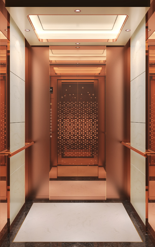 Series Passenger Elevator
