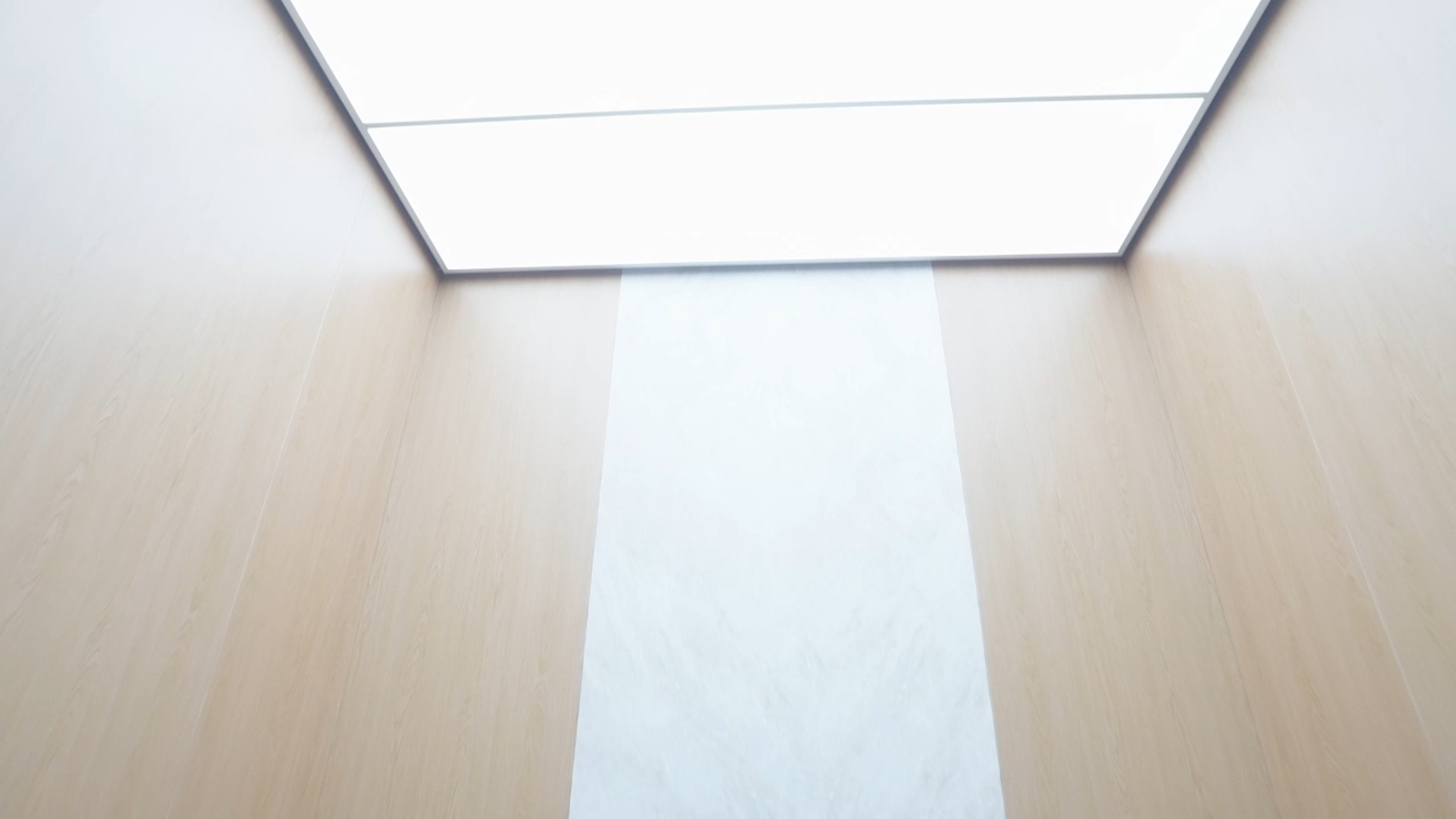 Joylive Passenger Elevator