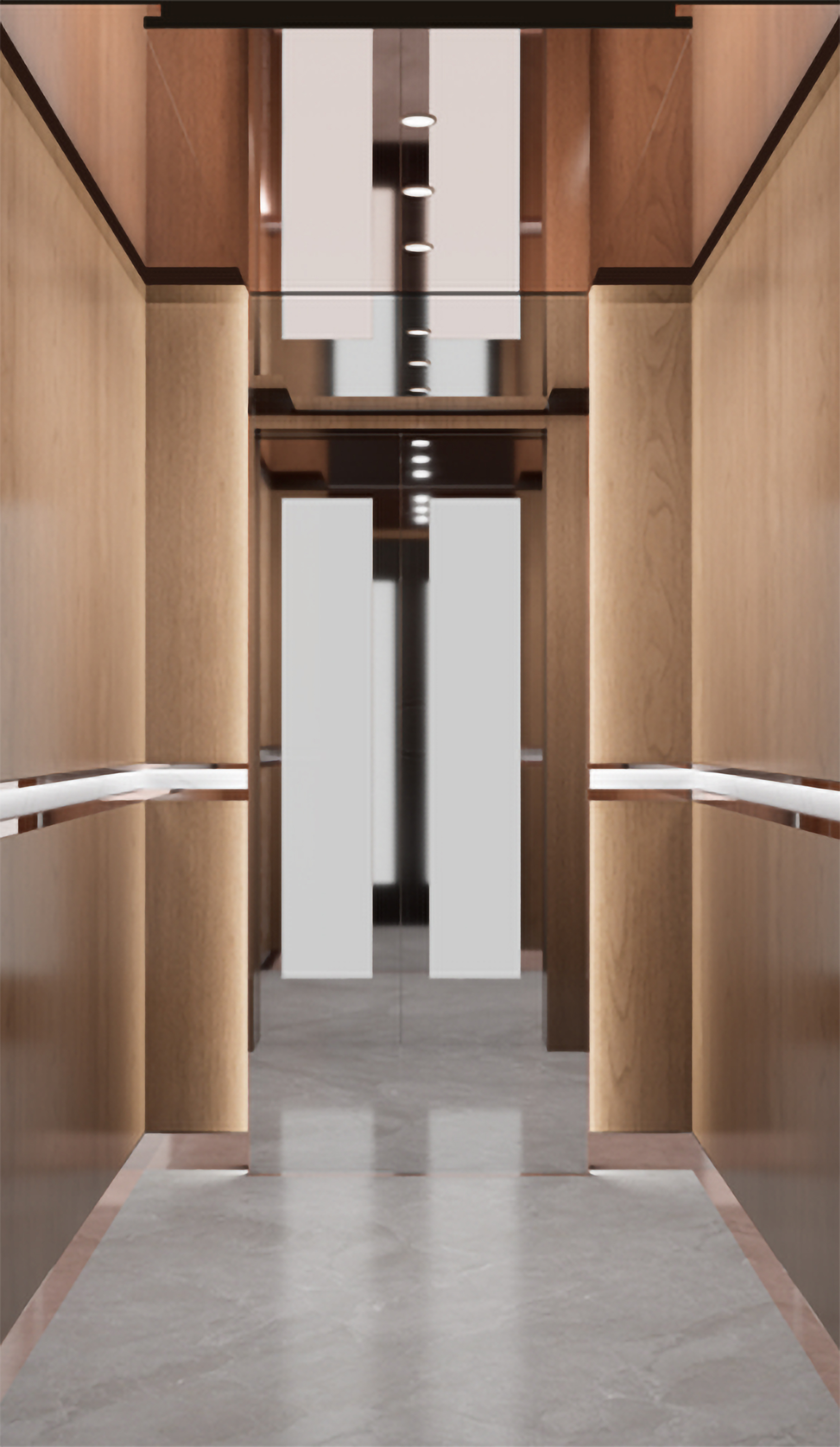 Joylive Panoramic Elevator