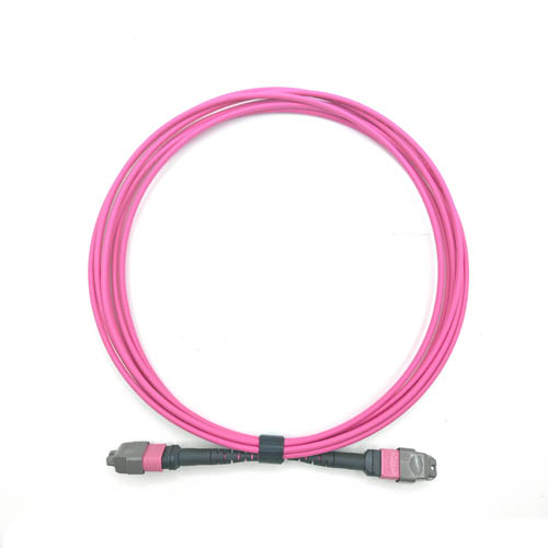 MPO Fiber Optic Patch Cord