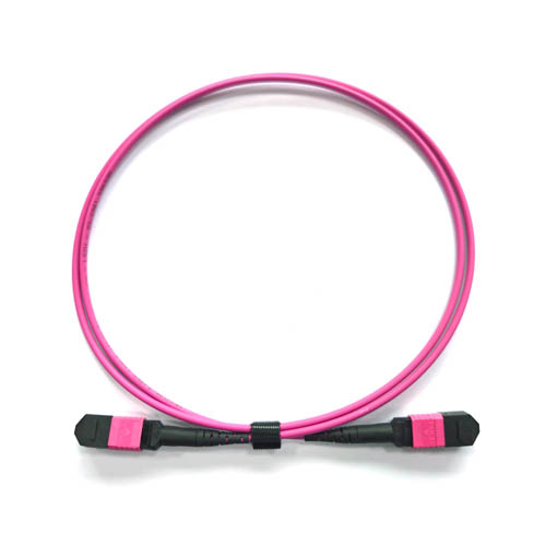 MPO patch cord for data center