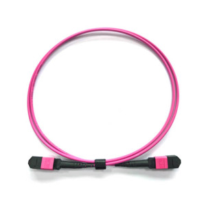 data center operator / Cloud service provider