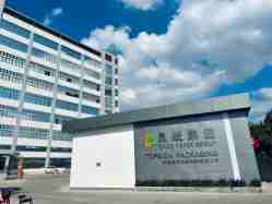 Topsion Packaging factory
