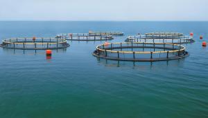 Aquaculture farm