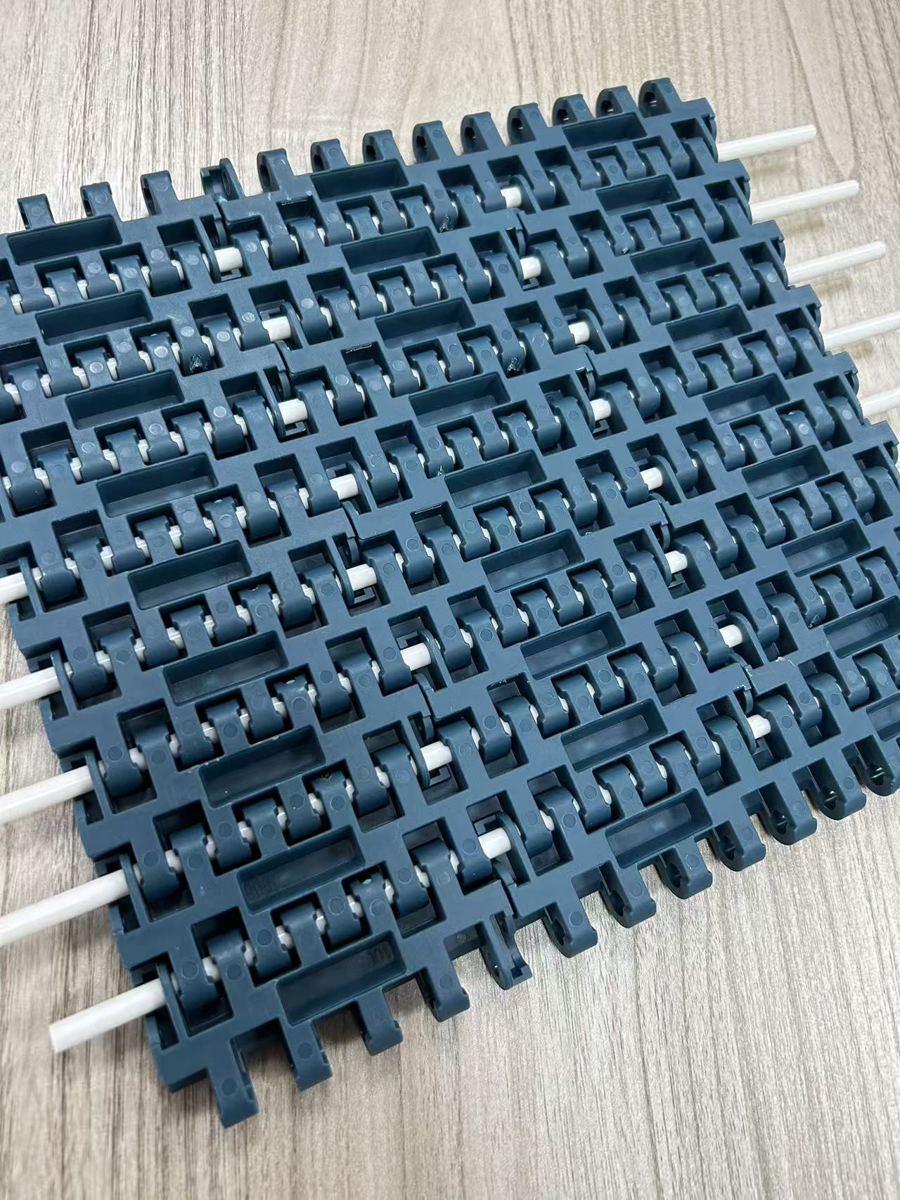 Food Industry Modular Belt