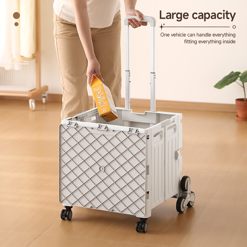 Large-capacity design meets various daily storage and carrying needs.