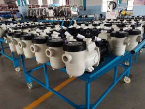laswim Bulk production pool pump
