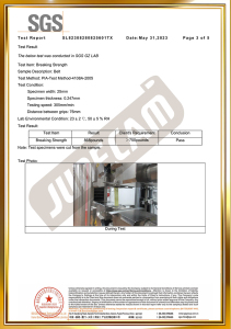 Breaking Strength Test Report