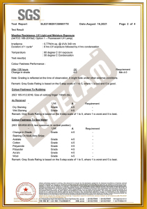Color Fastness Test Report
