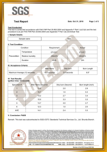 Flame Retardant Test Report