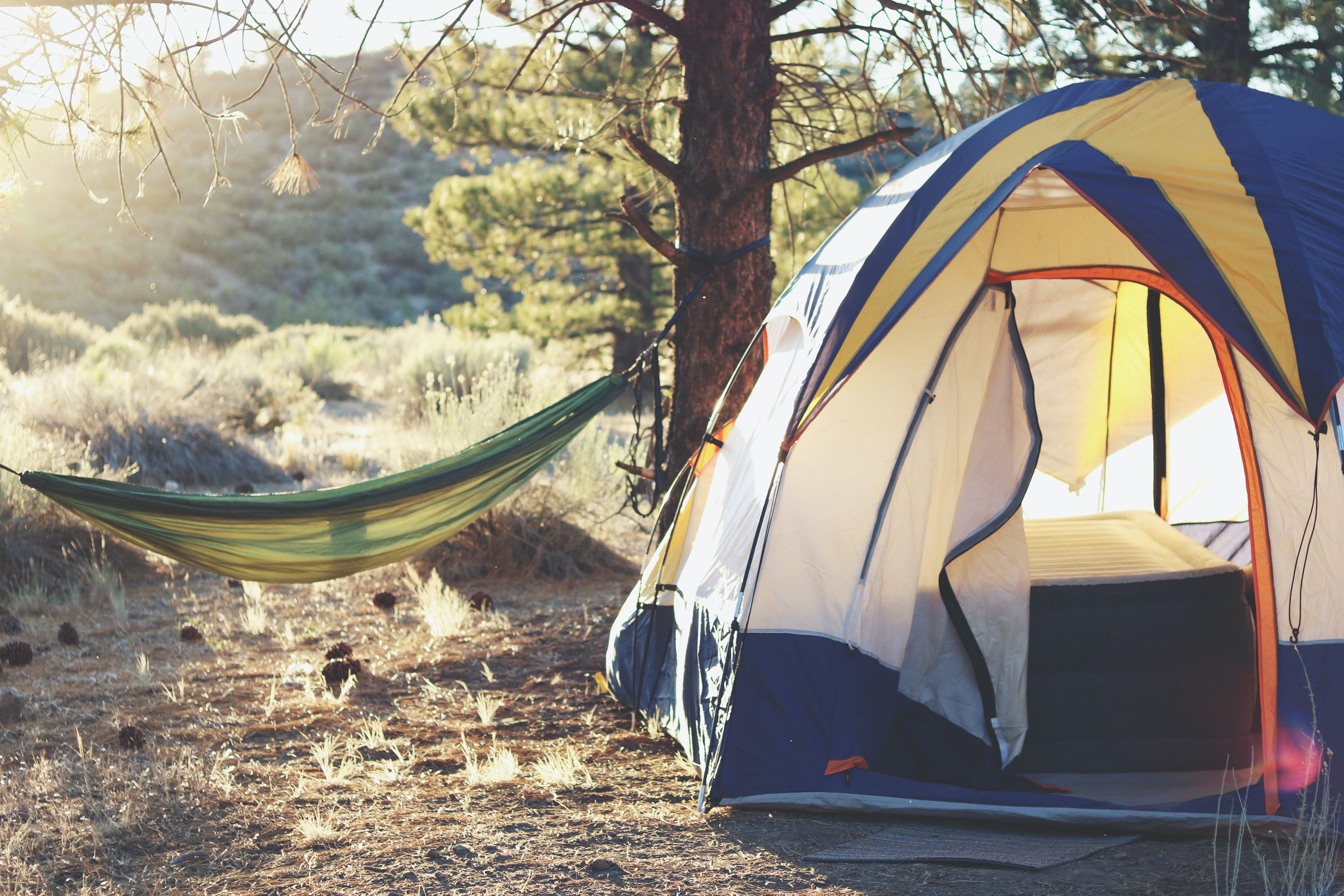 Camping hammock straps and tie-down straps in outdoor setting