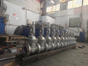 stainless steel gate valve assembly