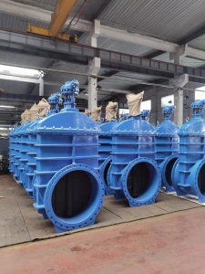 ductile gate valve finished product