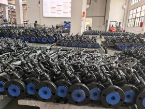 Rising stem Forged steel gate valve