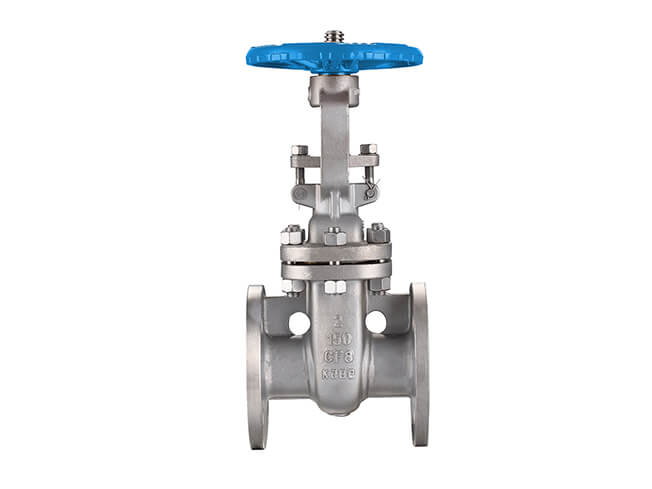 JIS B2062 stainless steel gate valve external view