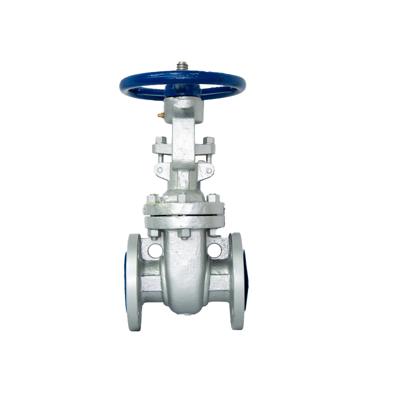 API 6D gate valve end view