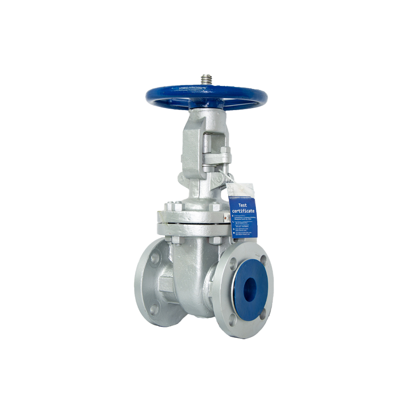 API 602 gate valve close-up