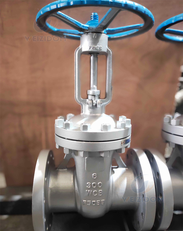 DIN F4 WCB carbon steel gate valve main view