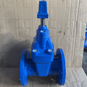 Underground cap soft seal gate valve