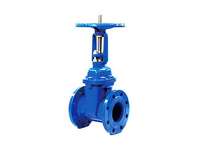 EN 1074 gate valve close-up