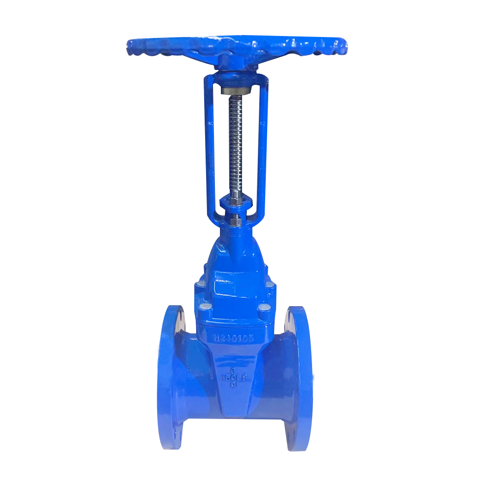 BS5163 valve cross-section showing EPDM wedge