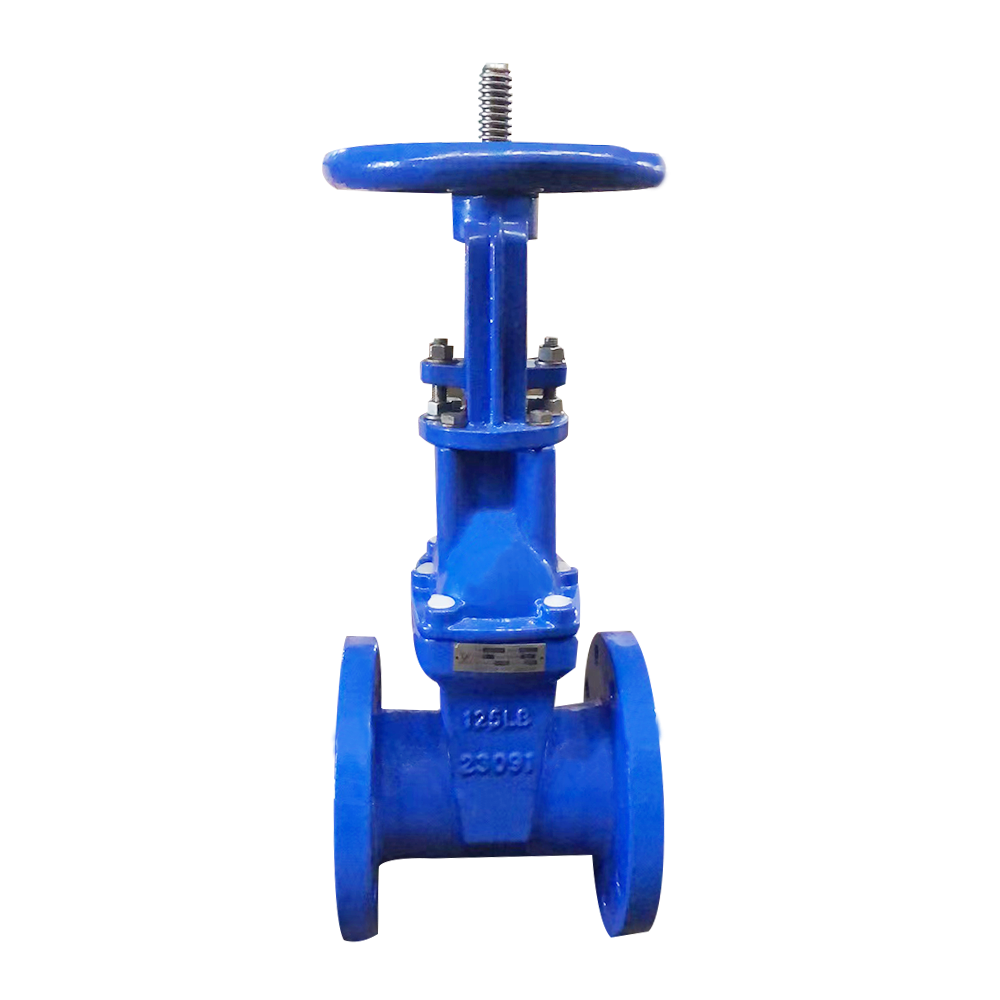 AWWA C509 gate valve technical drawing