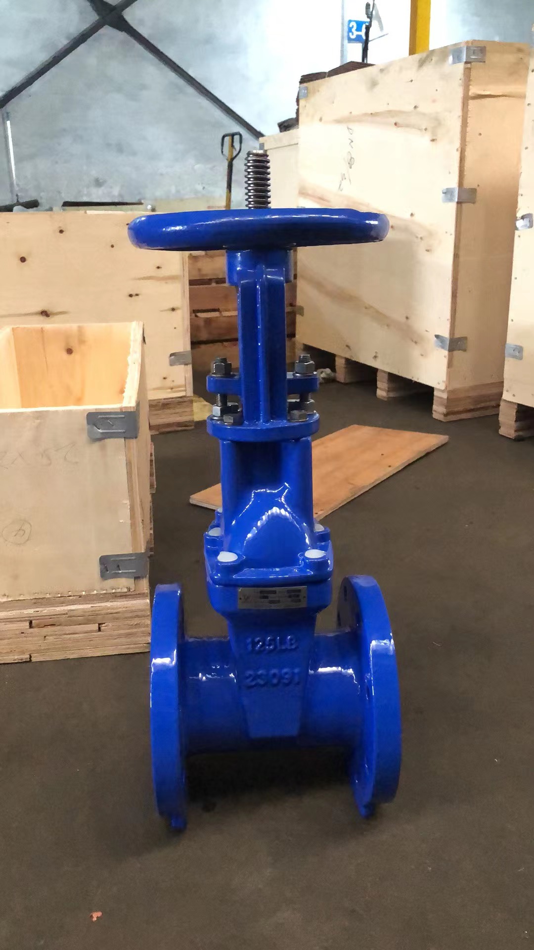 AWWA C509 rising stem gate valve in vertical position
