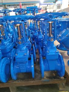 BS5163 Rising stem gate valve
