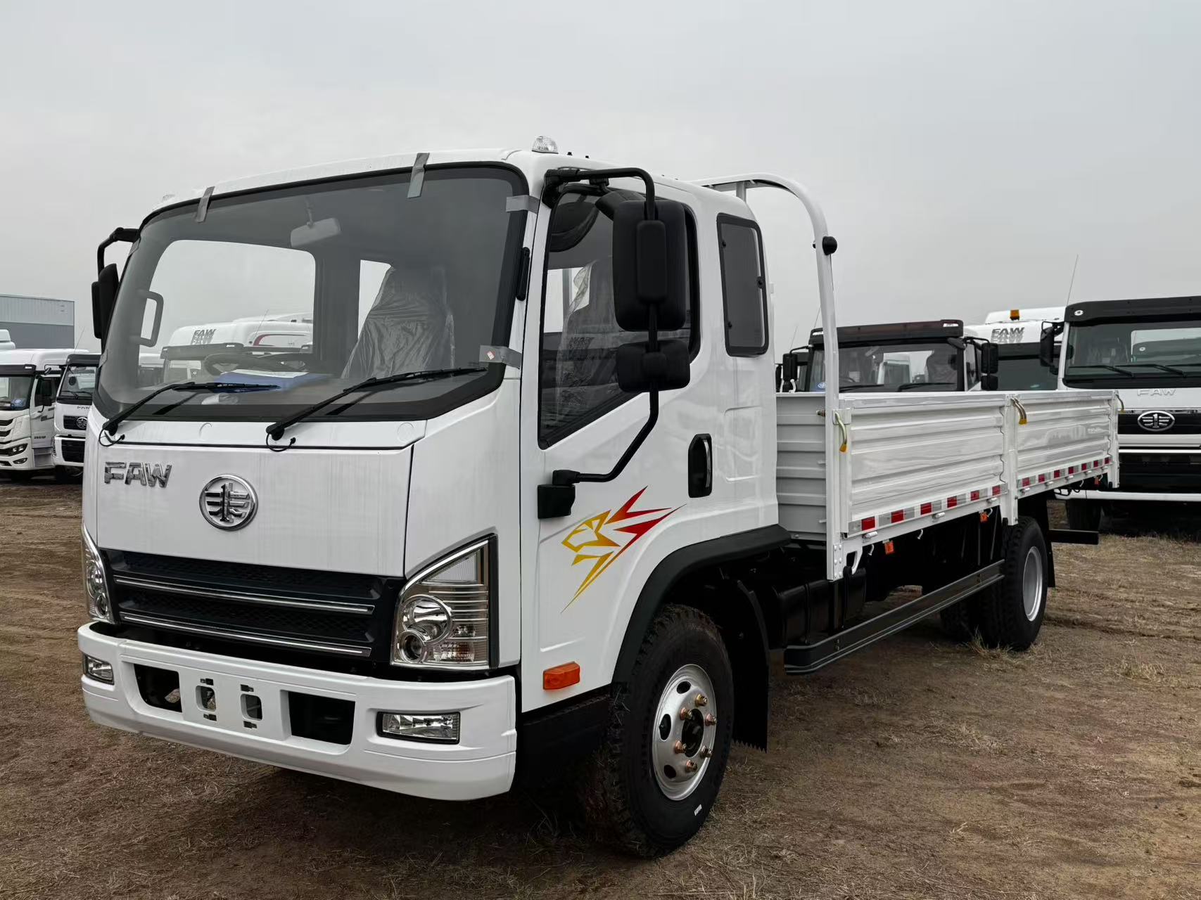 FAW TIGER VH 4x2 cargo truck - product range
