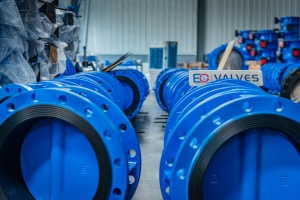 EG_Double_Flanged_Butterfly_Valve