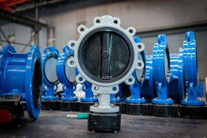 EG_Lug_Butterfly_Valve