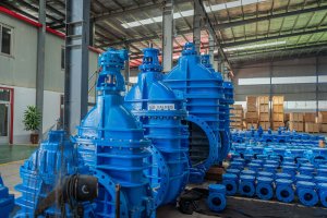 EG_Iron_Gate_Valve