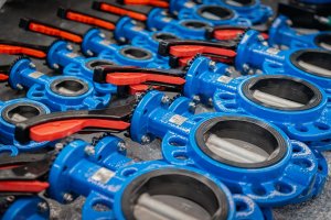 EG_NBR_Seated_Butterfly_Valve