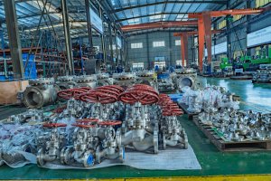 EG_Valves_Workshop_003