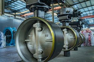 EG_High_Performance_Butterfly_Valve