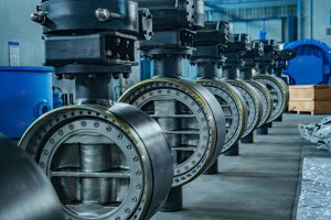 EG_Triple_Offset_Butterfly_Valve