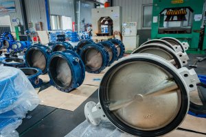 EG_Flanged_Butterfly_Valve