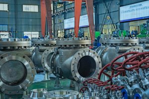 EG_Valves_Workshop_001