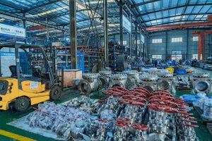 EG_Valves_Workshop_002