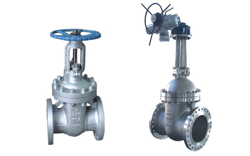 EG Valves Cast Steel Gate Valve