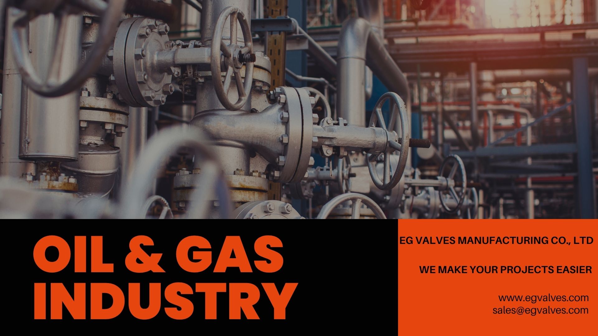 EG Valves in Oil & Gas Industry Application